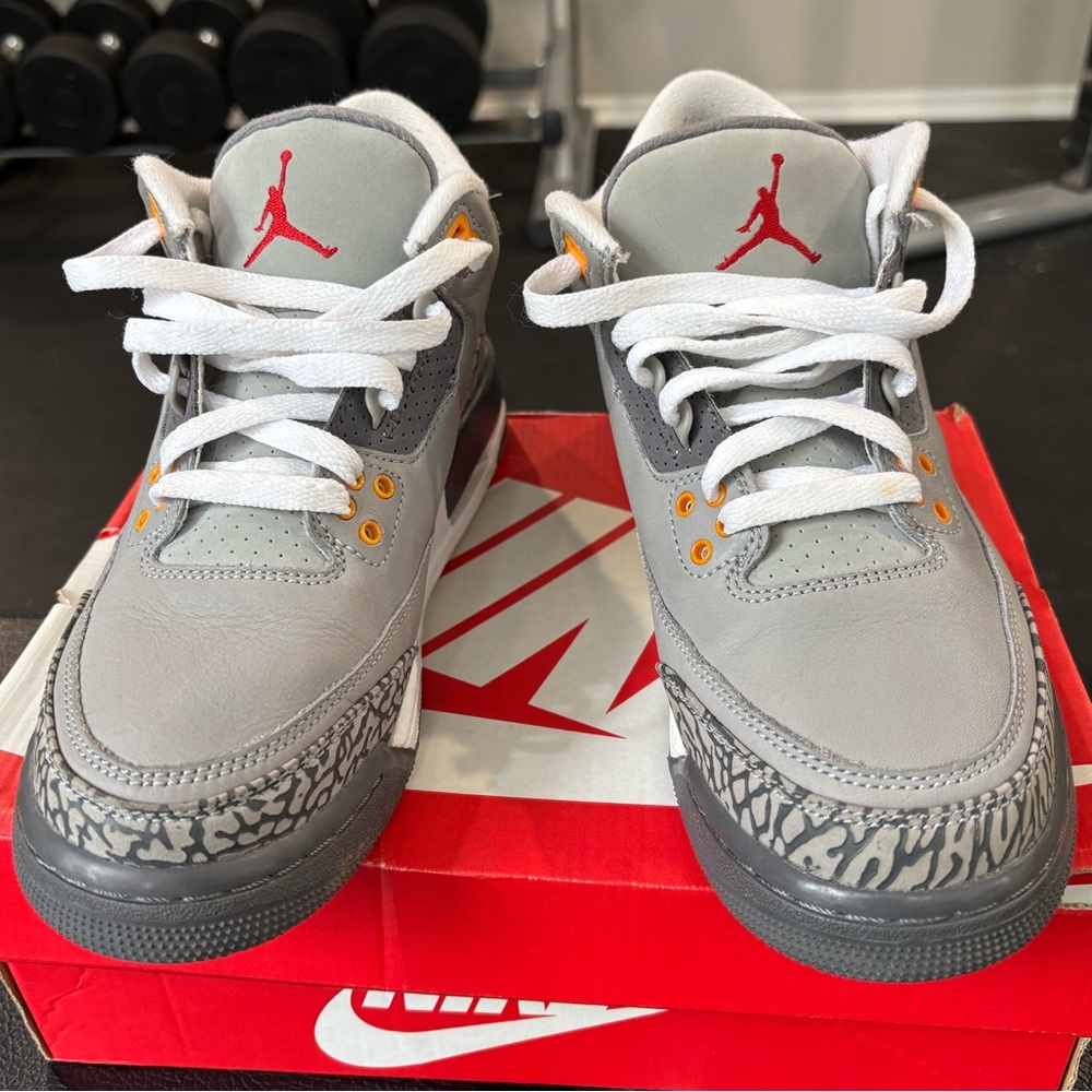 Retro Jordan 3 “Cool Grey”